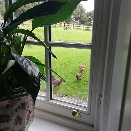 Next Door At Broomfield House Dom wakacyjny Midleton