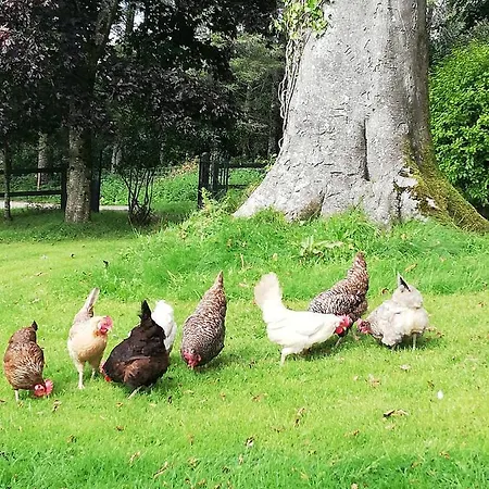 Next Door At Broomfield House Dom wakacyjny