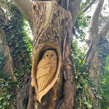 Dom wakacyjny Next Door At Broomfield House Midleton