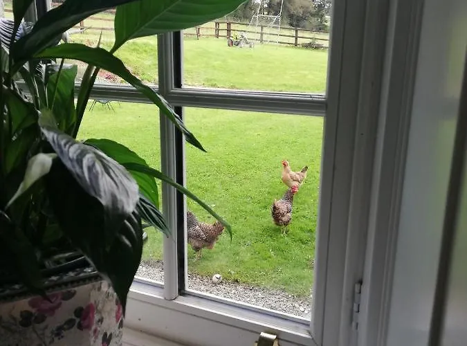 Next Door At Broomfield House Casa vacanze Midleton