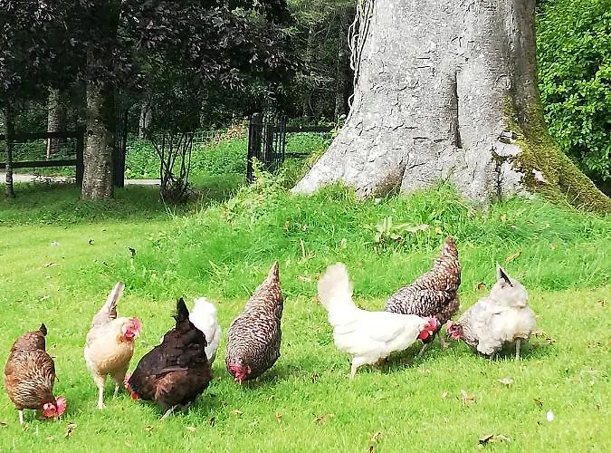 Next Door At Broomfield House Casa vacanze